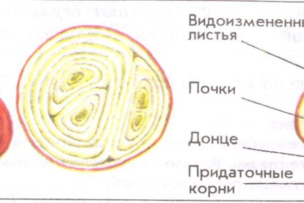 Как зайти на кракен через айфон