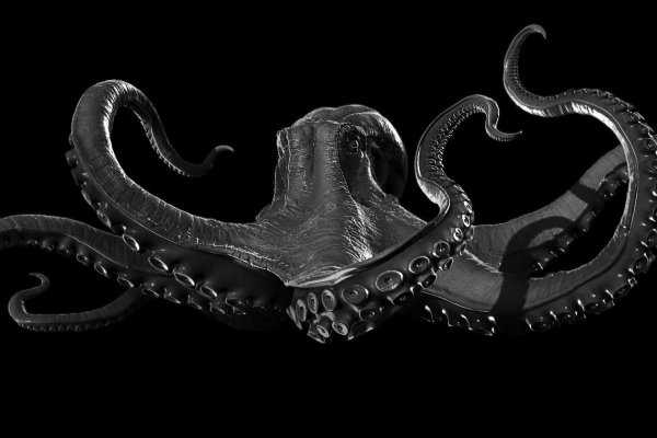 Kraken 17 at