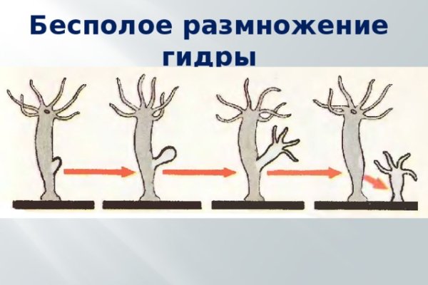 Наркотики заказать