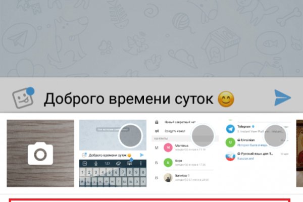 Не могу зайти в аккаунт кракен